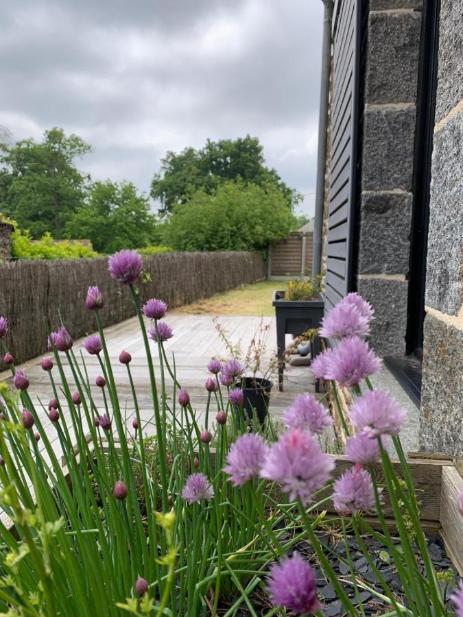 La Maison D'Aurelie Pleudihen-sur-Rance Extérieur photo